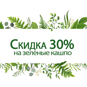 Зелёная неделя от Green Land